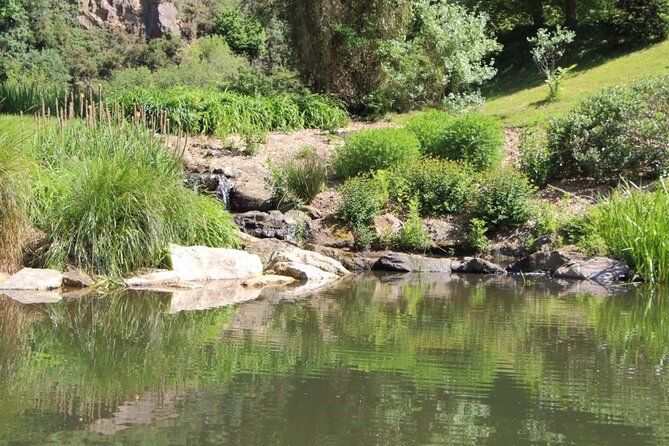 Explore the Paradise Vallez on a Guided Day Trip From Agadir - Inclusions and Highlights of the Tour