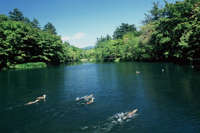 exploring-the-nature-and-sightseeing-spots-of-karuizawaforest-bathing-cycling-overview-of-karuizawa