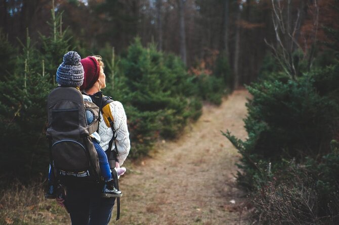 family-friendly-nature-hike-around-the-big-bear-valley-overview-of-the-big-bear-valley