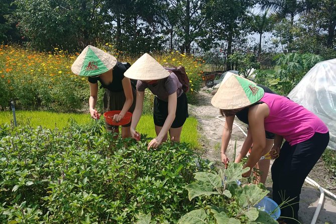 Farm-To-Table Healthy Cooking Class in Ho Chi Minh City