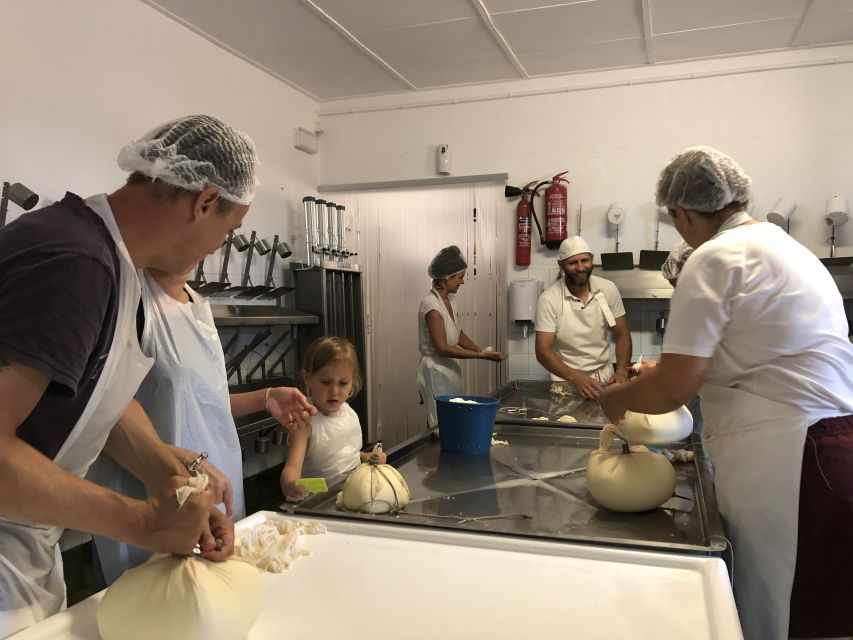 ferreries-cheesemaking-and-farm-fresh-product-tasting-activity-overview