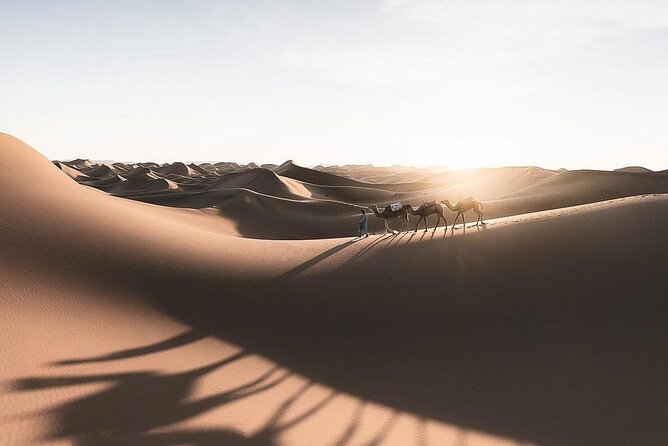 Fes To Marrakech: 3-Day Desert Tour