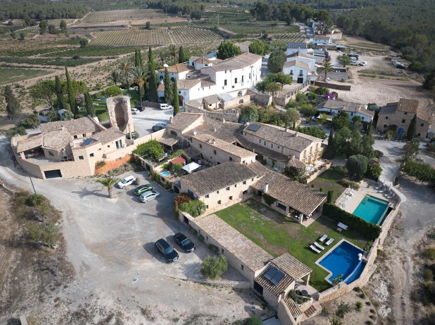 Finca Viladellops: Vineyard Safari in 4x4 Land Rover - Vineyard Safari Experience