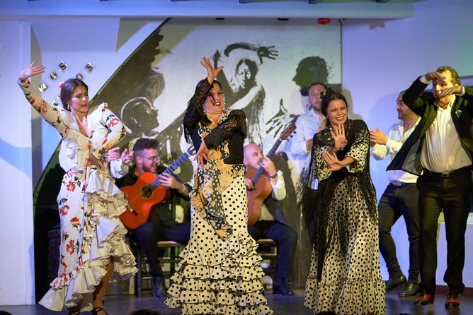 Flamenco Show Admission Ticket - Overview of Flamenco Show