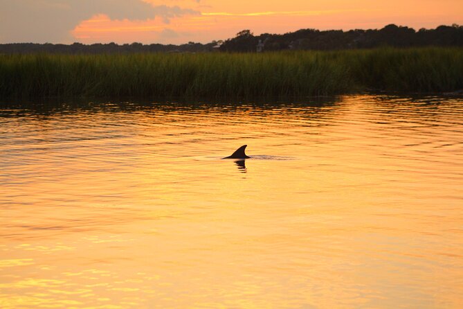 folly-beach-dolphin-viewing-boat-excursion-and-estuary-tour-overview-of-the-tour