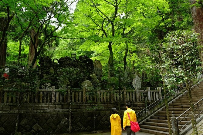 Forest Bathing In Temple And Enjoy Onsen With Healing Power