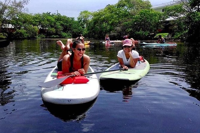 fort-lauderdale-paddle-board-rentals-explore-mangrove-forests
