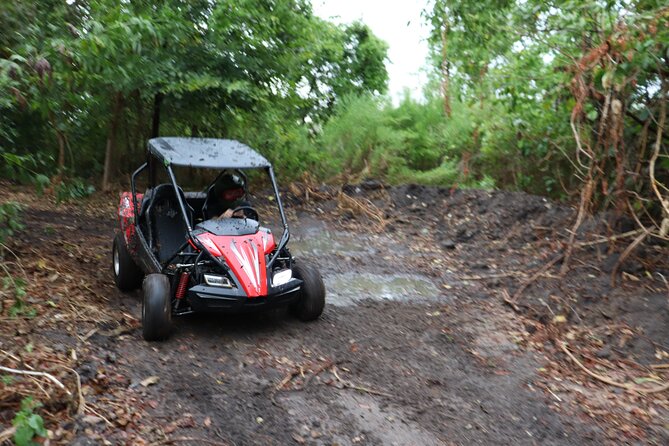 Fort Meade : Orlando : Dune Buggy Adventures