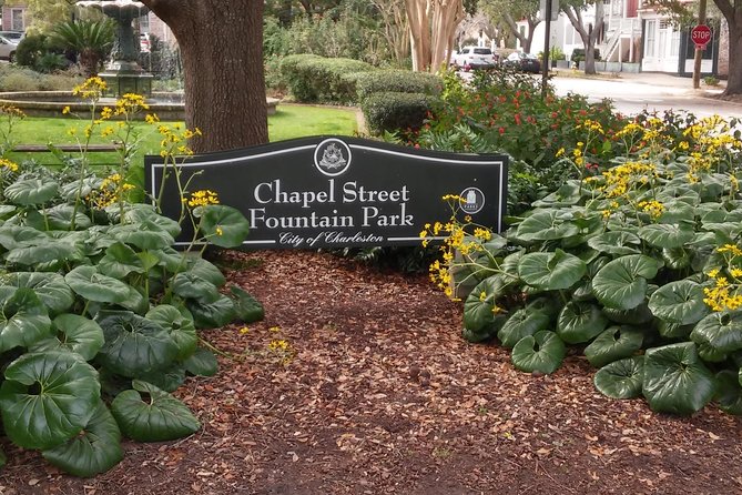 frankly-charleston-sunday-walking-tour-charlestons-wraggborough-neighborhood