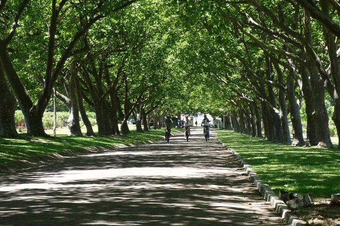 Franschhoek Winelands Luxury EBike Tour
