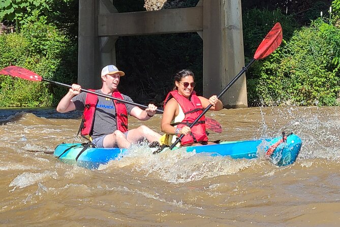 French Broad River Kayak Tour in Asheville - Overview of the Kayak Tour