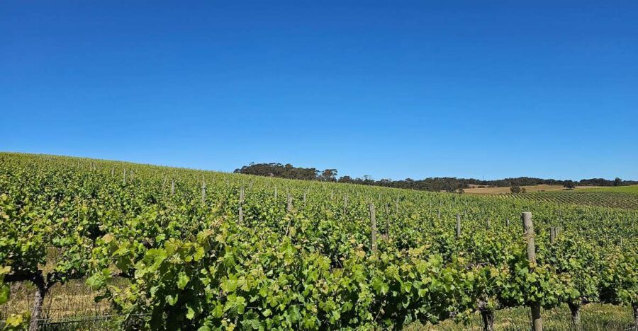 3 Best Historical Tours In Adelaide