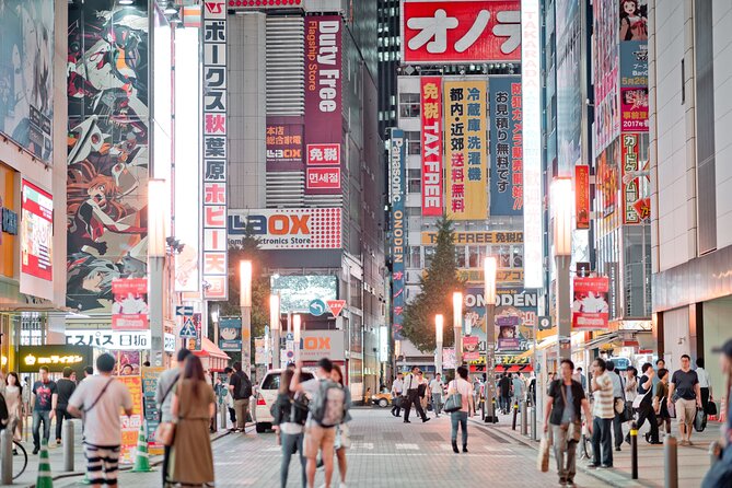 From Asakusa: Old Tokyo, Temples, Gardens and Pop Culture - Tour Overview