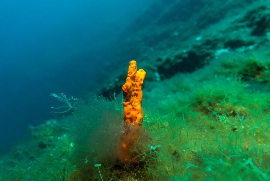 From Athens: Scuba Diving at the Blue Hole - Location and Accessibility