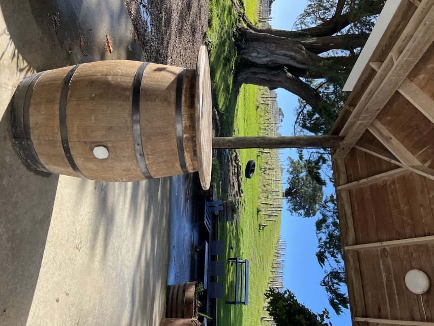 From Auckland: Waiheke Island Wine Cellar Tour