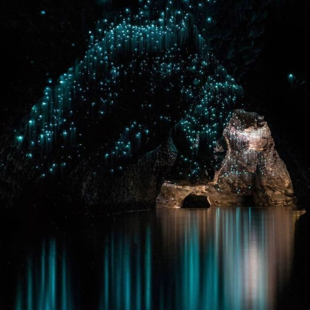 From Auckland: Waitomo Caves and Kiwi House Group Tour