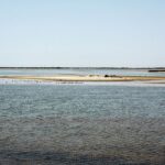from-avignon-half-day-camargue-and-saintes-maries-de-la-mer-exploring-the-camargue-wetlands