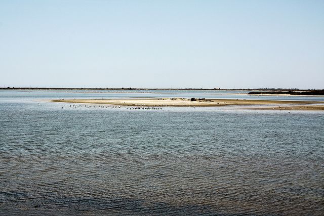 from-avignon-half-day-camargue-and-saintes-maries-de-la-mer-exploring-the-camargue-wetlands