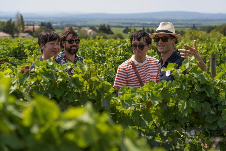 From Avignon: Morning Wine Tour to Châteauneuf Du Pape
