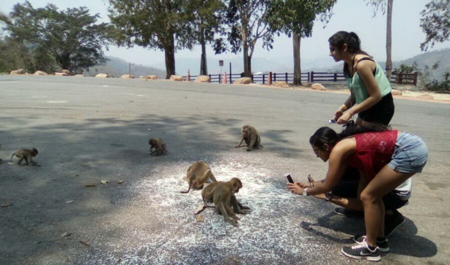 From Bangkok: Ayutthaya & Khao Yai National Park Day Trip