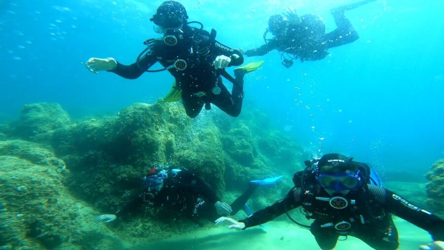 From Barcelona: Tossa De Mar Scuba Diving and 3-Course Meal