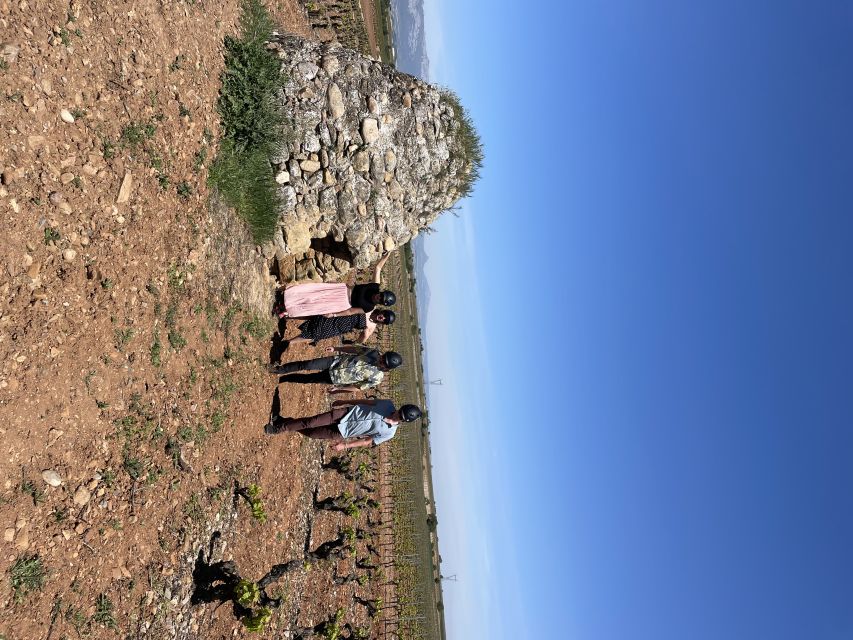 From Bilbao: La Rioja Wine Tour by E-Bike With Wine Tastings - Tour Duration and Itinerary