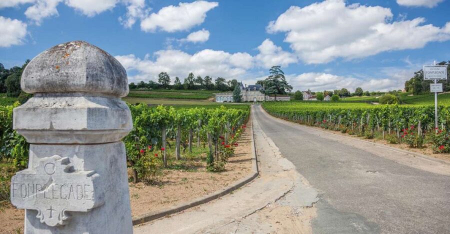From Bordeaux: Full-Day St Emilion Wine Tasting Tour