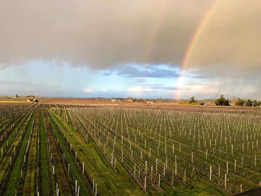 from-bordeaux-half-day-saint-emilion-wine-tour-tour-overview