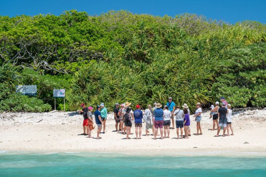 From Bundaberg: Barrier Reef & Lady Musgrave Island Day Tour - Tour Overview