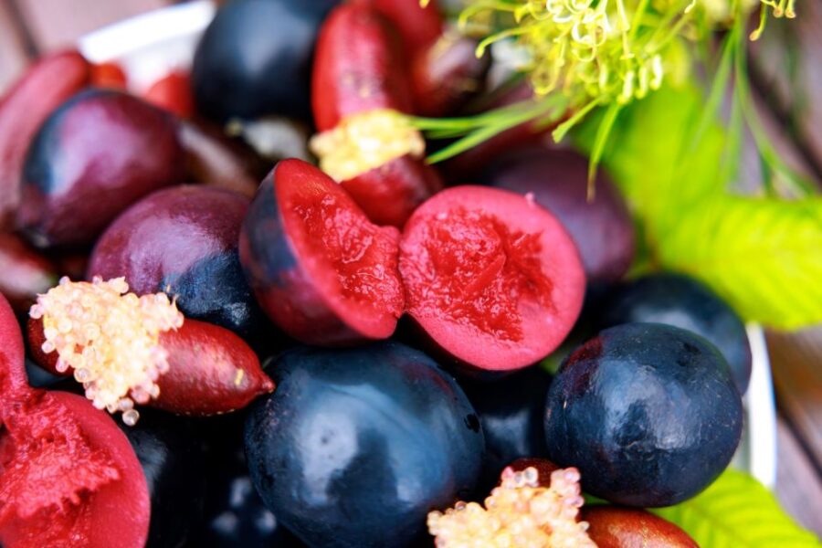 From Cairns: Atherton Tablelands Food and Wine Tasting Tour - Overview of the Tour