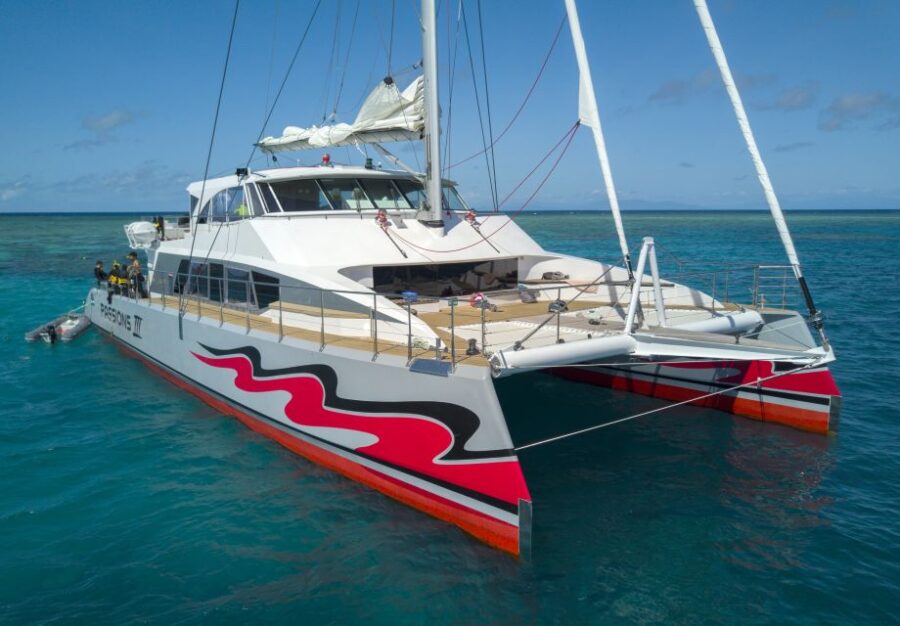 From Cairns: Great Barrier Reef Cruise by Premium Catamaran