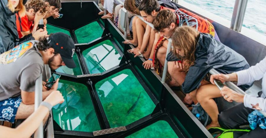 From Cairns: Green Island Full-Day Cruise