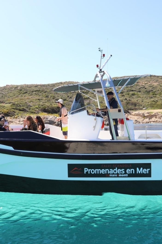 From Calvi: 2-Hour Sunset Cruise to Revellata Peninsula