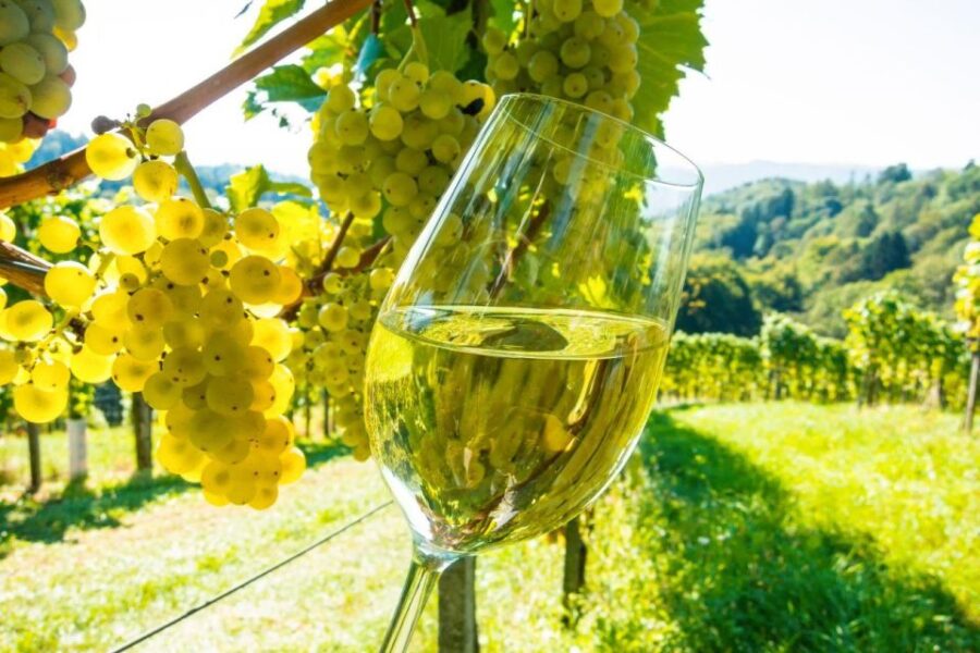 From Cannes: St Paul De Vence, Antibes & Wine Tasting Tour - Tour Overview