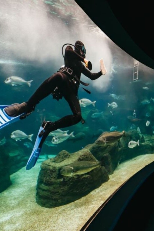 from-chania-cretaquarium-heraklion-city-tour-tour-details