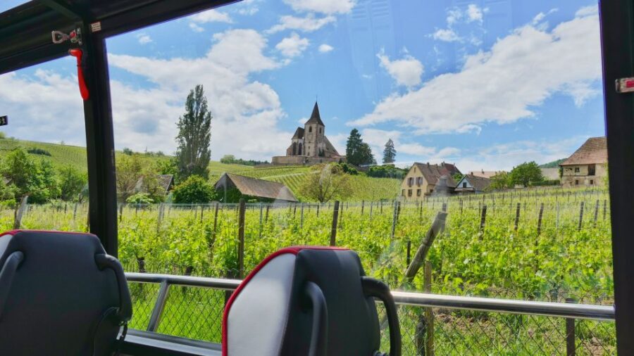 From Colmar: Alsace Medieval and Wine Tasting Day Tour