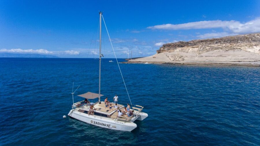 From Costa Adeje: Private Catamaran Tour With Snorkeling - Overview of the Catamaran Tour