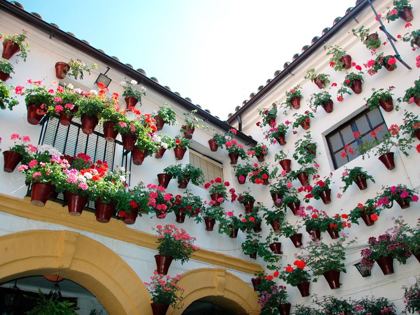 From Costa Del Sol: Day Trip to Cordoba Free Time