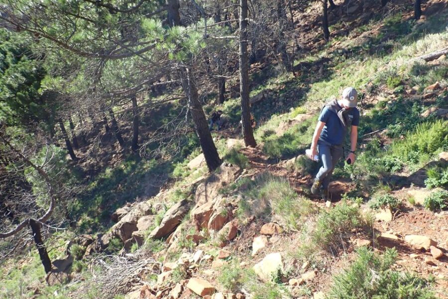 From Costa Del Sol: Sierra Bermeja Private Hiking Tour - Tour Details