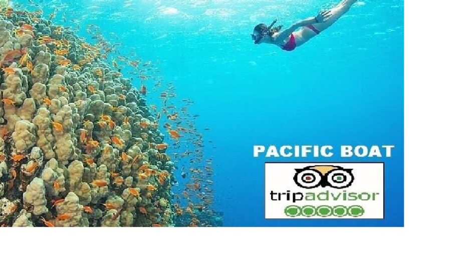 From Da Nang: Snorkeling & Island Hopping Tour by Speedboat - Tour Overview
