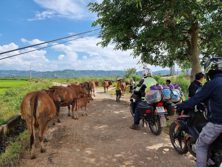 From Dalat to Cat Tien National Park, Drop-Off in Ho Chi Minh City - Tour Overview