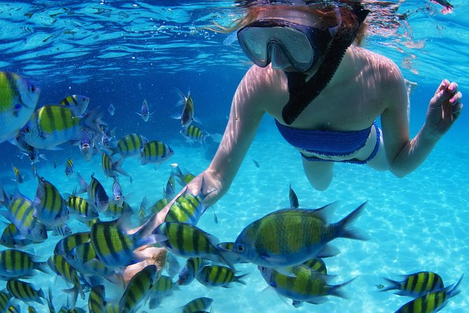 From Dubai: Snorkeling Trip in Fujairah - Tour Details