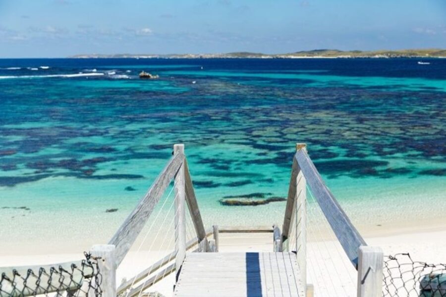 From Fremantle: Return Rottnest Island Ferry Ticket - Ticket Pricing and Information