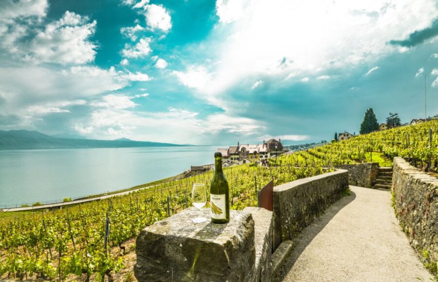 from-geneva-swiss-riviera-tour-tour-overview