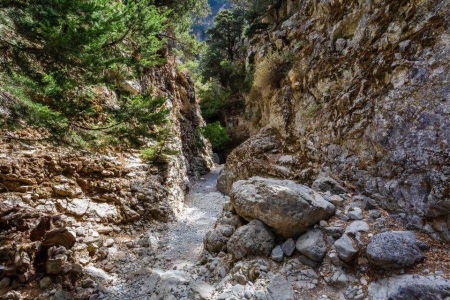From Georgioupoli: Easy Hiking Day-Trip to Imbros Gorge - Itinerary Details