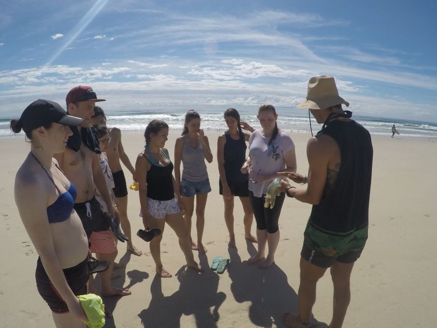 From Gold Coast: Kayaking & Snorkelling Tour With Breakfast