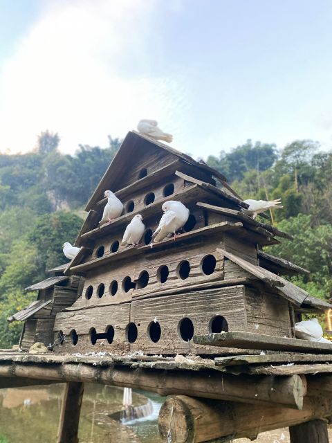 From Hanoi: 2-Day Sapa Trekking & Hiking With Fansipan Peak