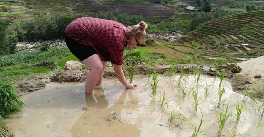 From Hanoi: 3-Day Homestay Trekking in Sapa Tour - Exploring Lao Chai Village