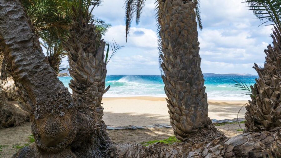 From Heraklion: Palm Forest Beach of Vai, Toplou & Sitia