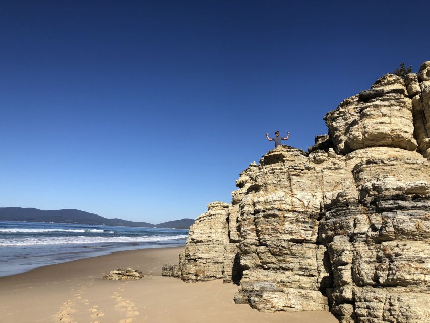 from-hobart-bruny-island-nature-and-produce-full-day-tour-tour-overview-and-pricing